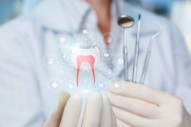 Best Dental Fillings (Composite and Amalgam)  in Birch Run, MI